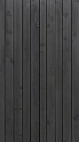Vertical black wooden planks form a uniform textured wall
