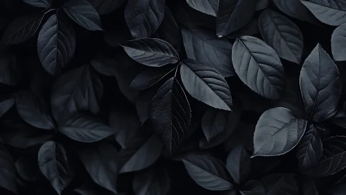 Dark moody foliage background with overlapping leaves.