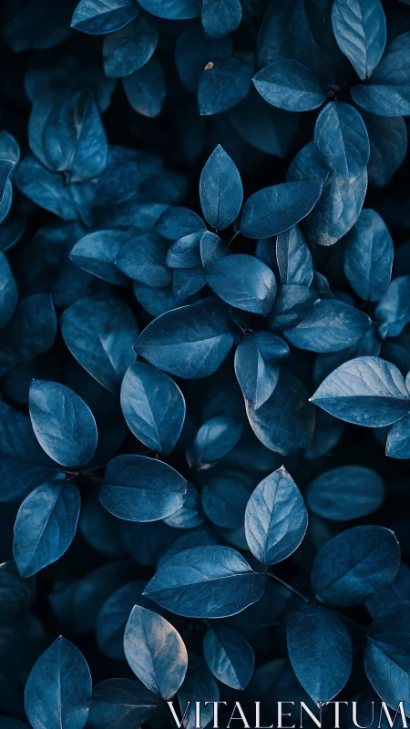 Midnight foliage draped in deep sapphire woodland hush.