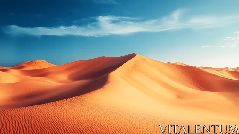 Sunlit desert dunes with sculpted ridgelines and deep shadows.