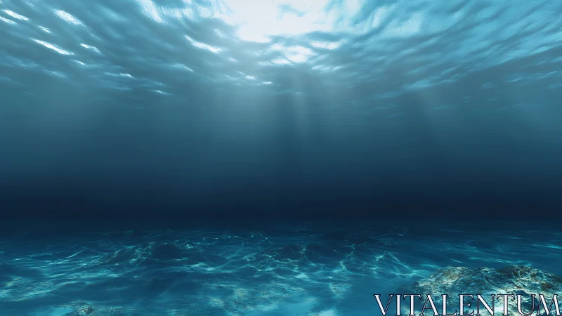 Subsurface view shows light rays penetrating clear seawater