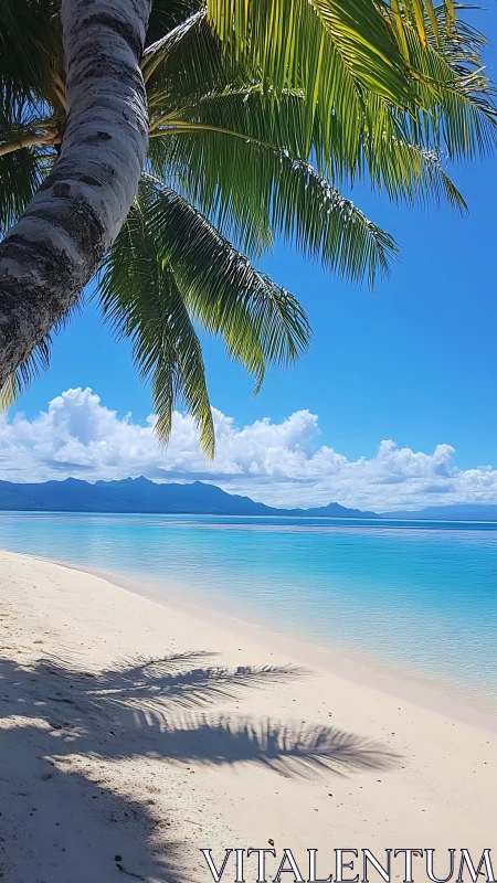 Tropical Palm Beach with Turquoise Waters and Island View.
