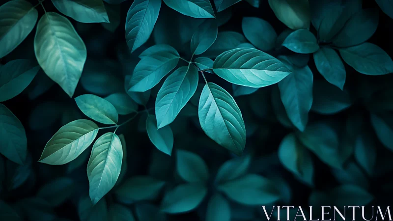 Low key macro foliage with teal color grading and soft bokeh