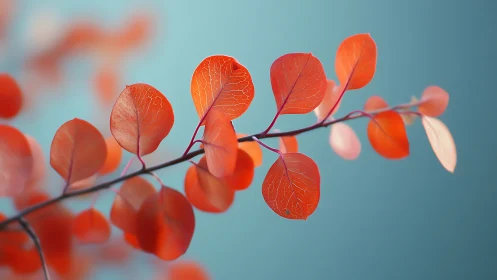 Delicate Red Autumn Leaves on Branch, Minimalist Nature Photo.