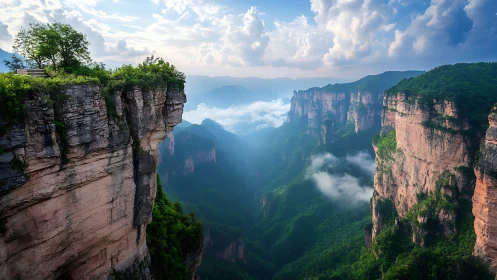 Clifftop lookout welcomes soft clouds over lush green canyon