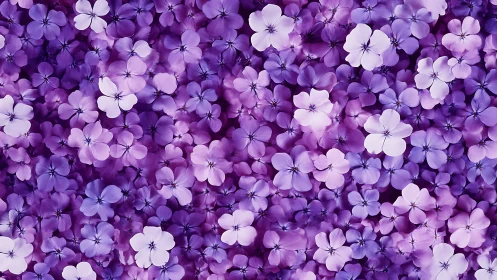 Purple Floral Cluster with White Blooms.