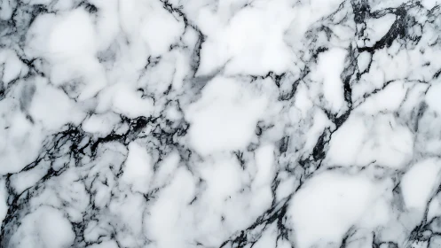 Soft white marble with graceful charcoal gray veining pattern.