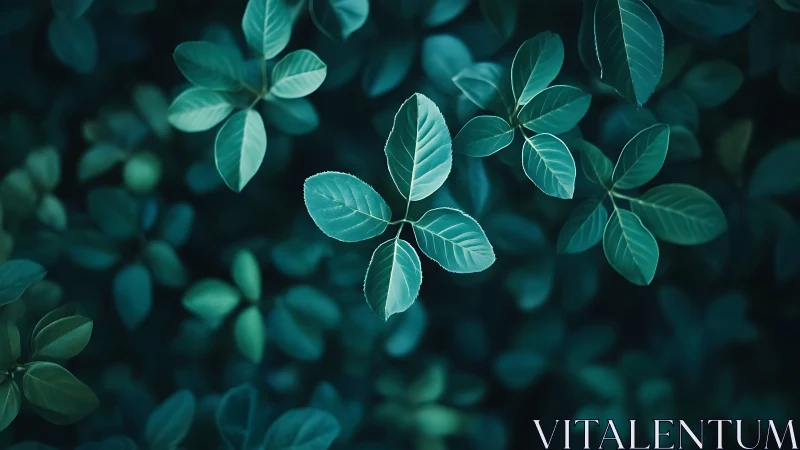 Macro botanical foliage with teal bokeh, shallow depth of field