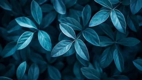 Monochromatic blue-toned leaves form overlapping foliage pattern