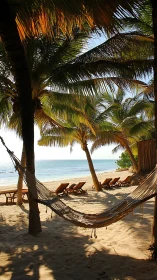 Tropical hammock under palms beside quiet ocean shoreline.