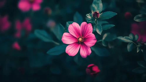 Vivid Cosmos Flower Against Twilight Garden Backdrop.