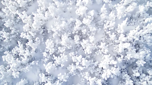 Aerial macro view of frosted shrubs in dense winter snow.