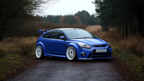 Modified blue hot hatch stands on a secluded forest road.