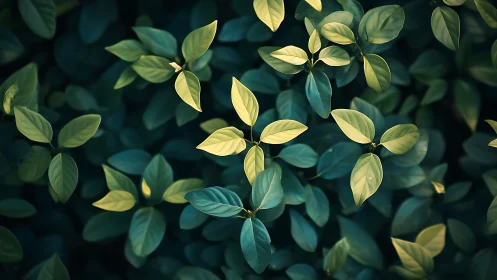 Photorealistic shallow-depth foliage with bicolor leaf canopy.