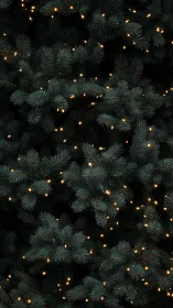 Dense evergreen branches with uniformly spaced string lights.