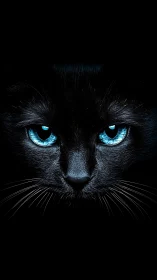 Black cat with piercing blue eyes glowing against darkness.
