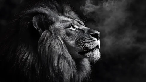 Black and white lion profile with dramatic smoky background.