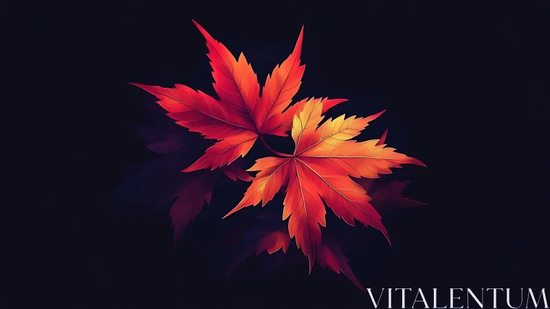 Vibrant maple leaves glow against deep black background