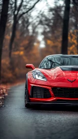 Crimson sports car paused on a misty forest backroad.