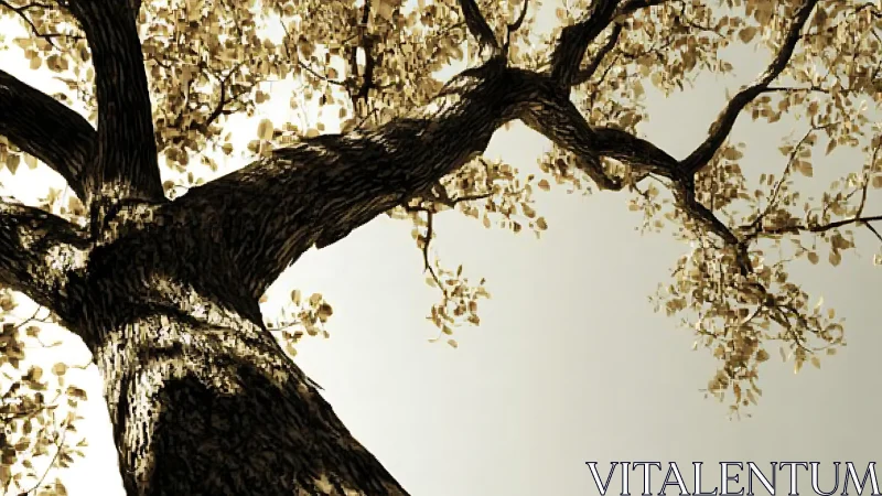 Majestic Tree Trunk and Branches in Sepia-Toned Artistic Style.