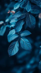 Blue-toned branch presents crisp leaves against soft blur