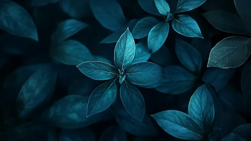 Central leaf cluster stands out in cool blue foliage field