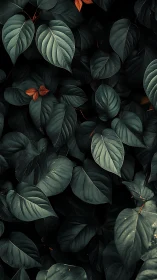 Moody green leaves with tiny copper accents of quiet warmth.