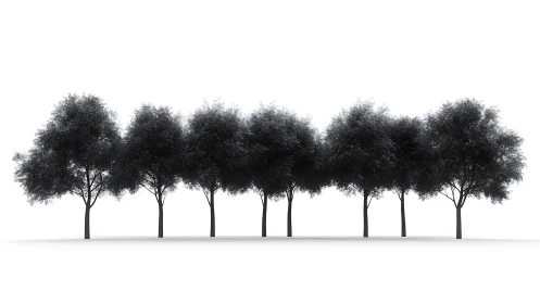 Row of evenly spaced deciduous trees on white background.