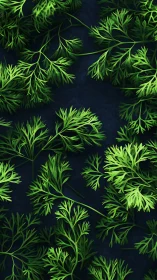 Green herb leaves are arranged across a dark flat surface