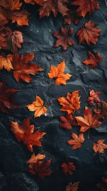Rustling copper leaves resting gently on dark river stone.