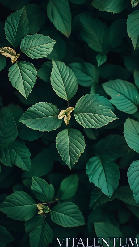Emerald foliage pattern with soft moody lighting detail.