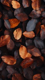 Overlapping brown and orange autumn leaves background.