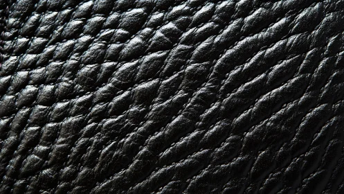 Close-up of black textured leather surface with natural sheen.