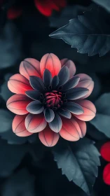 Dahlia Bloom with Ethereal Butterfly in Moody Darkness