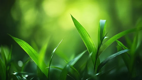 Green blades whisper quietly into a glowing forest hush