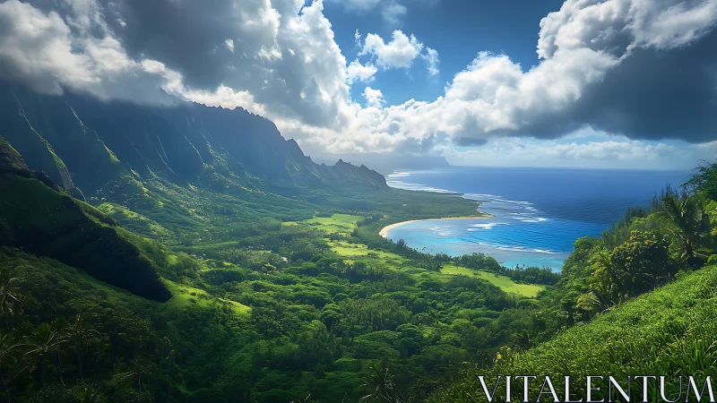 Kalalau Valley Overlook: Tropical Coastal Landscape Panorama.