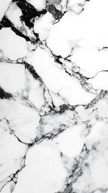 Monochrome marble surface with high-contrast veining pattern.