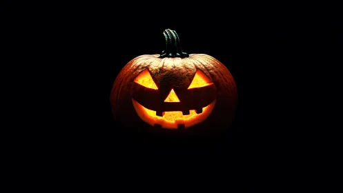 Glowing carved jack o lantern pumpkin on dark black background.