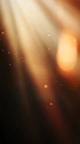Golden sunbeams drifting through softly glowing dust specks.