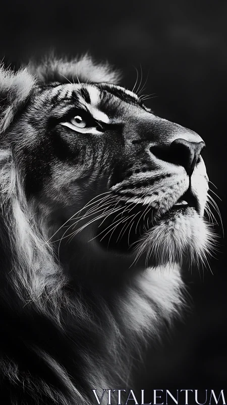 Gaze of a majestic tiger glows softly in monochrome light