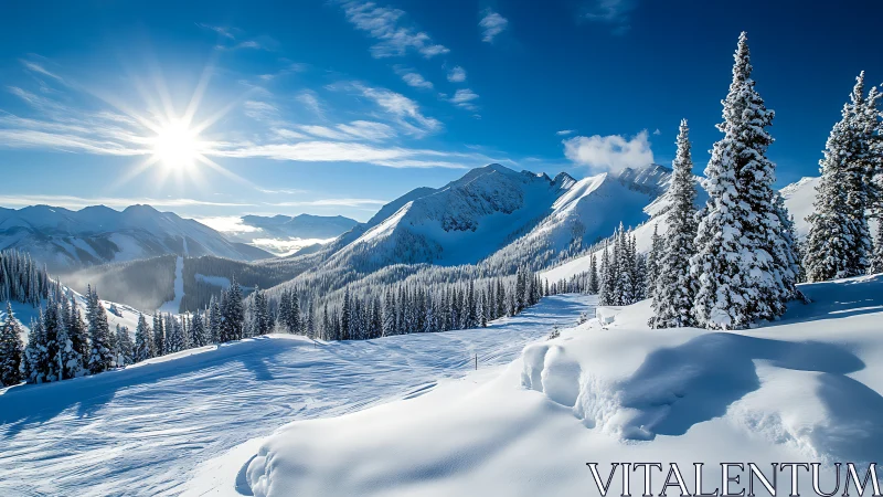 High-alpine winter valley displays crisp irradiated snow textures