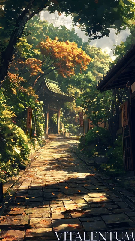 Sunlit temple path welcomes a gentle walk through autumn