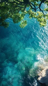Overhead view of turquoise coastal water and shoreline rock.