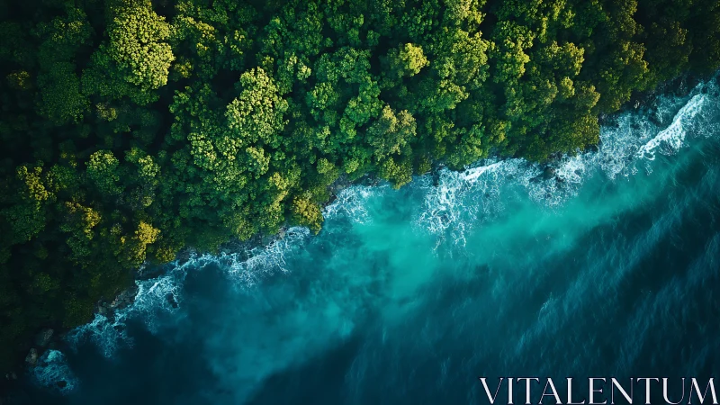 Emerald Embrace Meets Turquoise Edge.