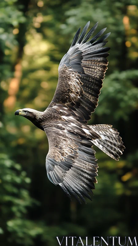 Photorealistic eagle in dynamic side-flight over soft forest bokeh.