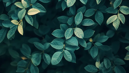 Quiet teal leaves drift like whispered thoughts at dusk