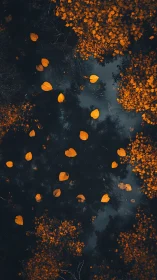 Golden autumn leaves above dark reflective forest water.