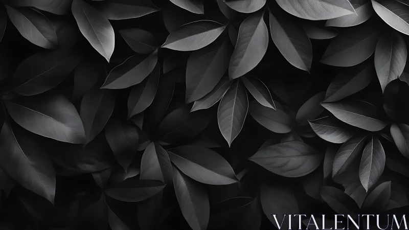 Monochrome foliage texture with layered overlapping leaves.