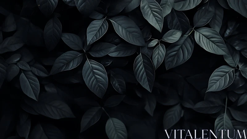 Nocturne leaves in velvet shadowed garden hush.