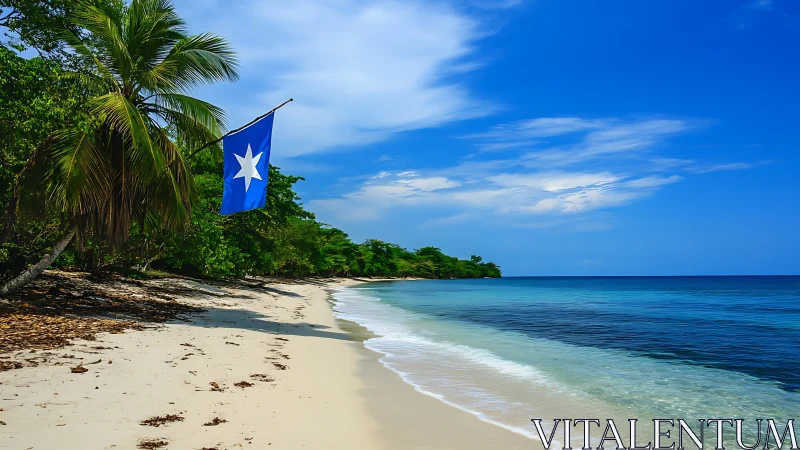 Tropical Beach with Solo Star Flag.